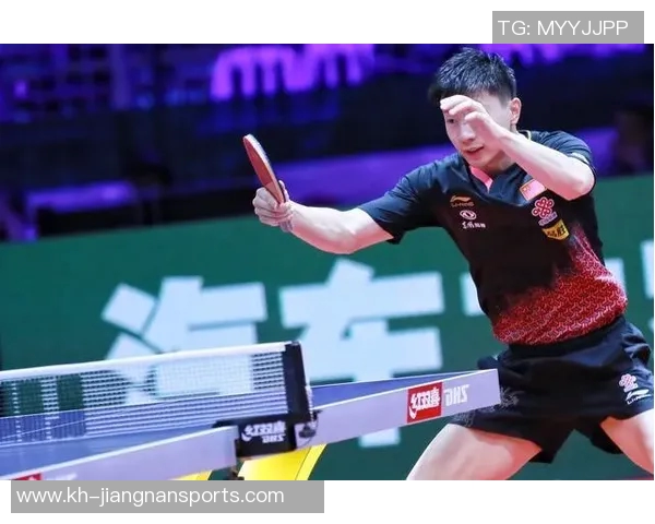 运动数据南京排球队战术表现深度解析与大满贯点评